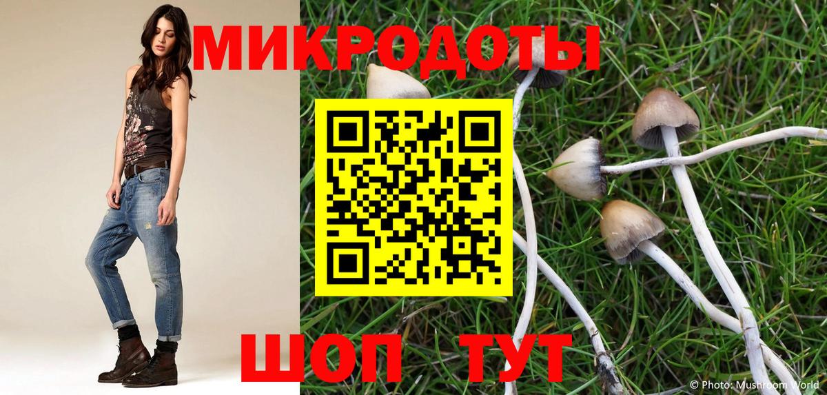 Псилоцибиновые грибы ЛСД  Вход с VPN  Полысаево 