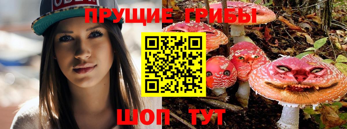 Каннабис Полысаево